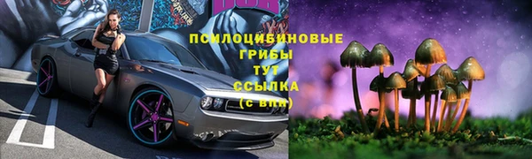 2c-b Алексеевка